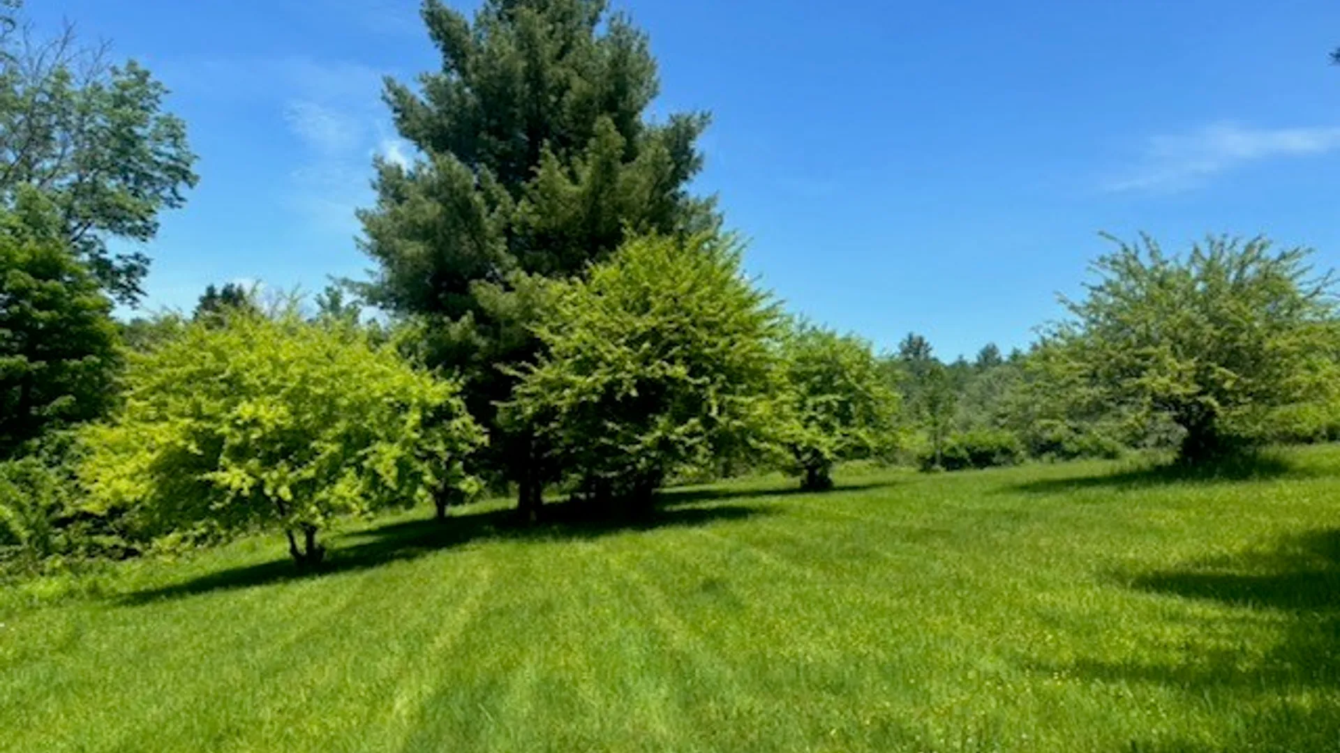 Property at 339 Dry Brook Road, Candor, NY 13864 21