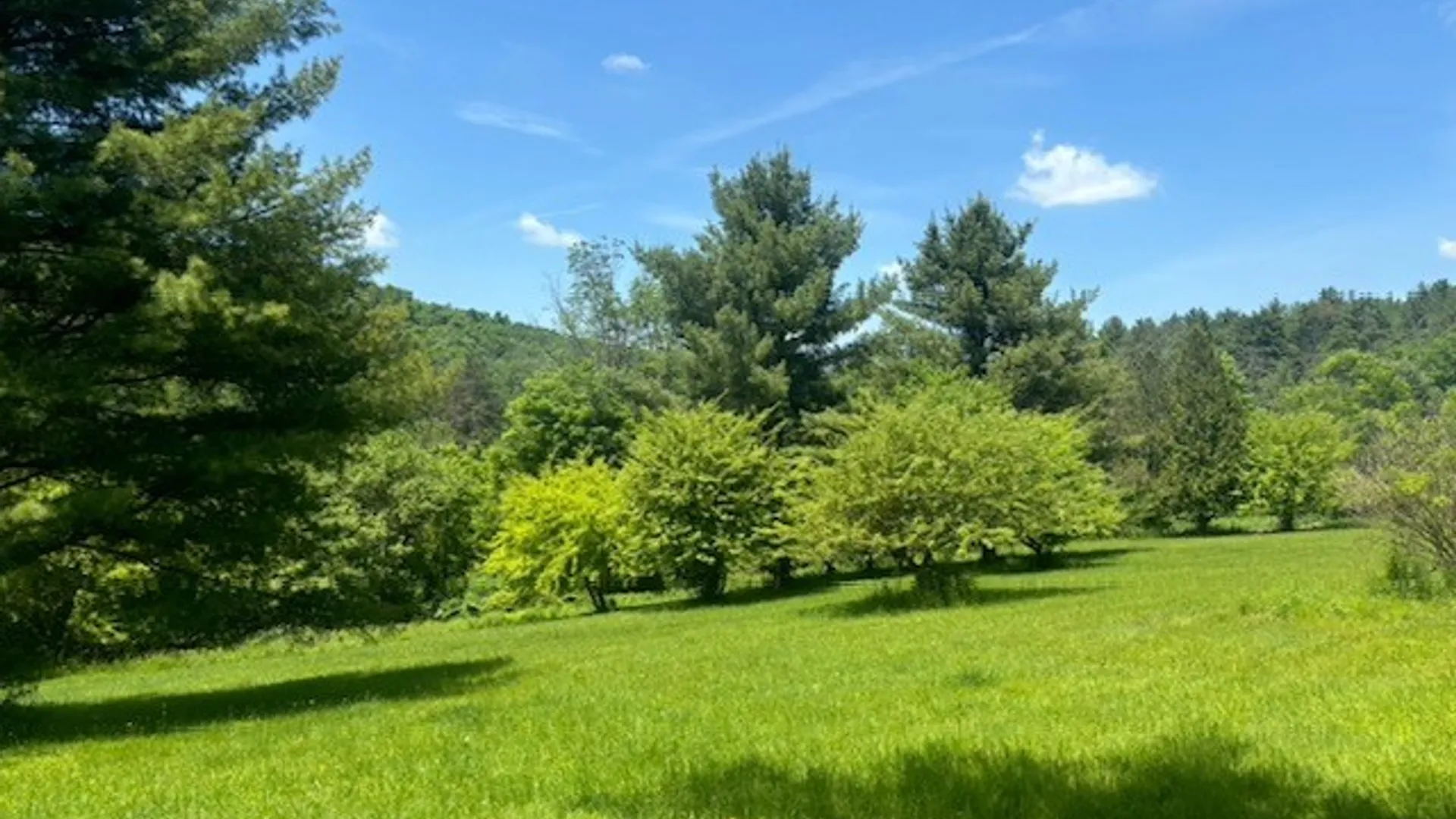 Property at 339 Dry Brook Road, Candor, NY 13864 5