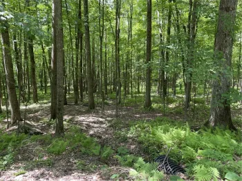 Property at Skip Gray Road, Colchester, NY 13752