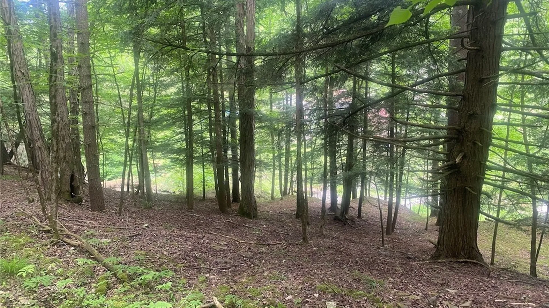Property at 5295 Snowball Hollow Road, Scio, NY 14880 50