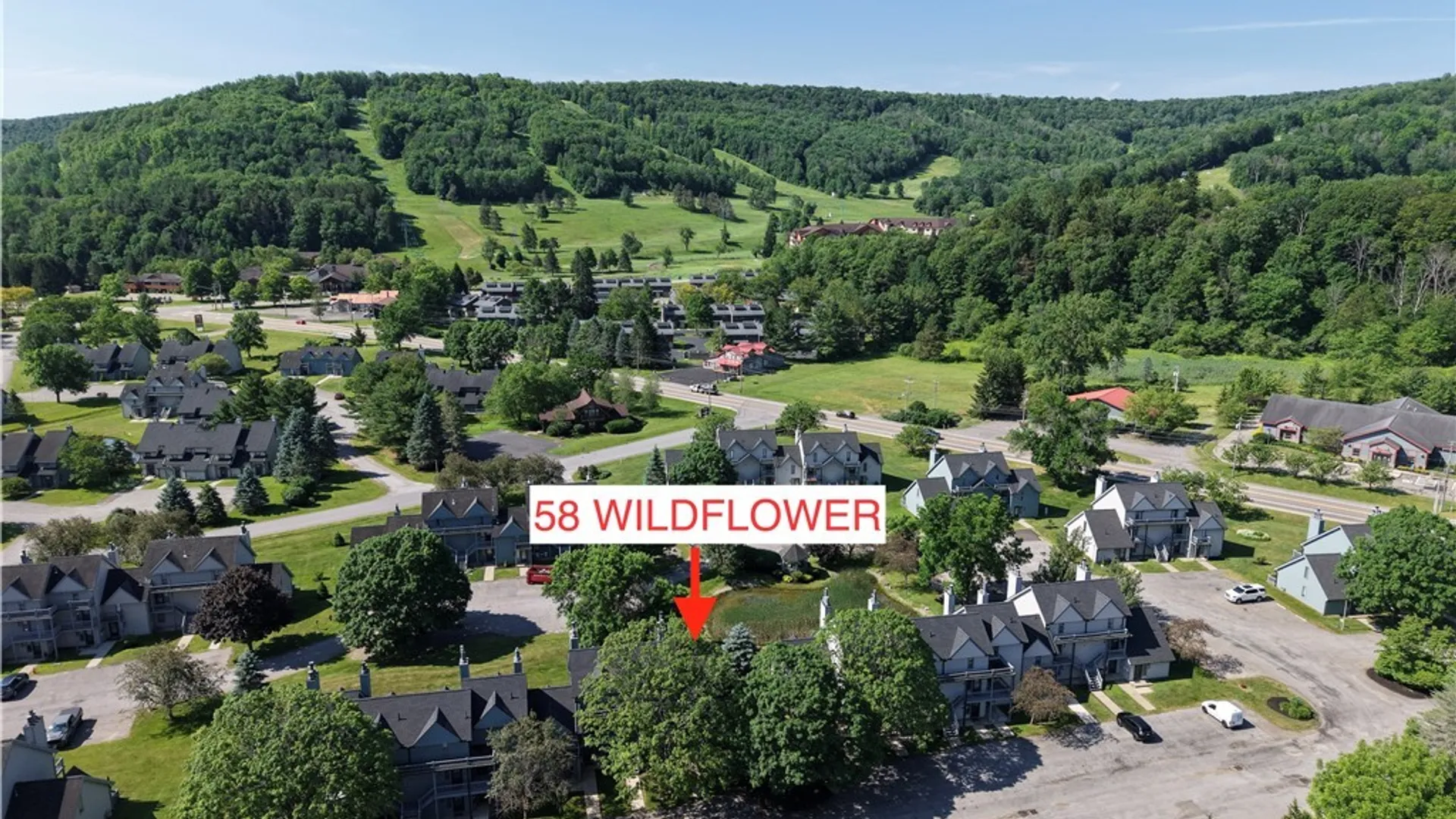 Property at 58 Wildflower, Ellicottville, NY 14731 3