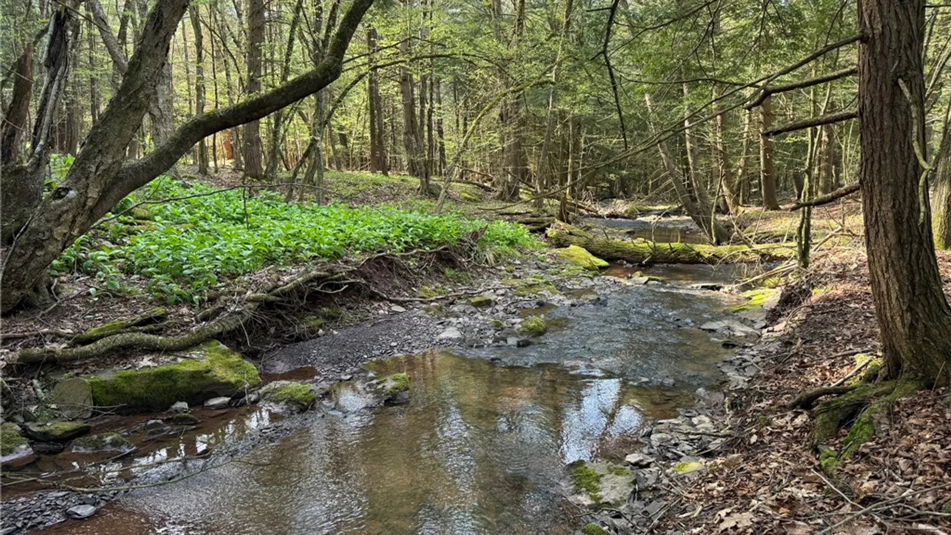 Property at Lot 2 Oregon Road, Butternuts, NY 13776 2