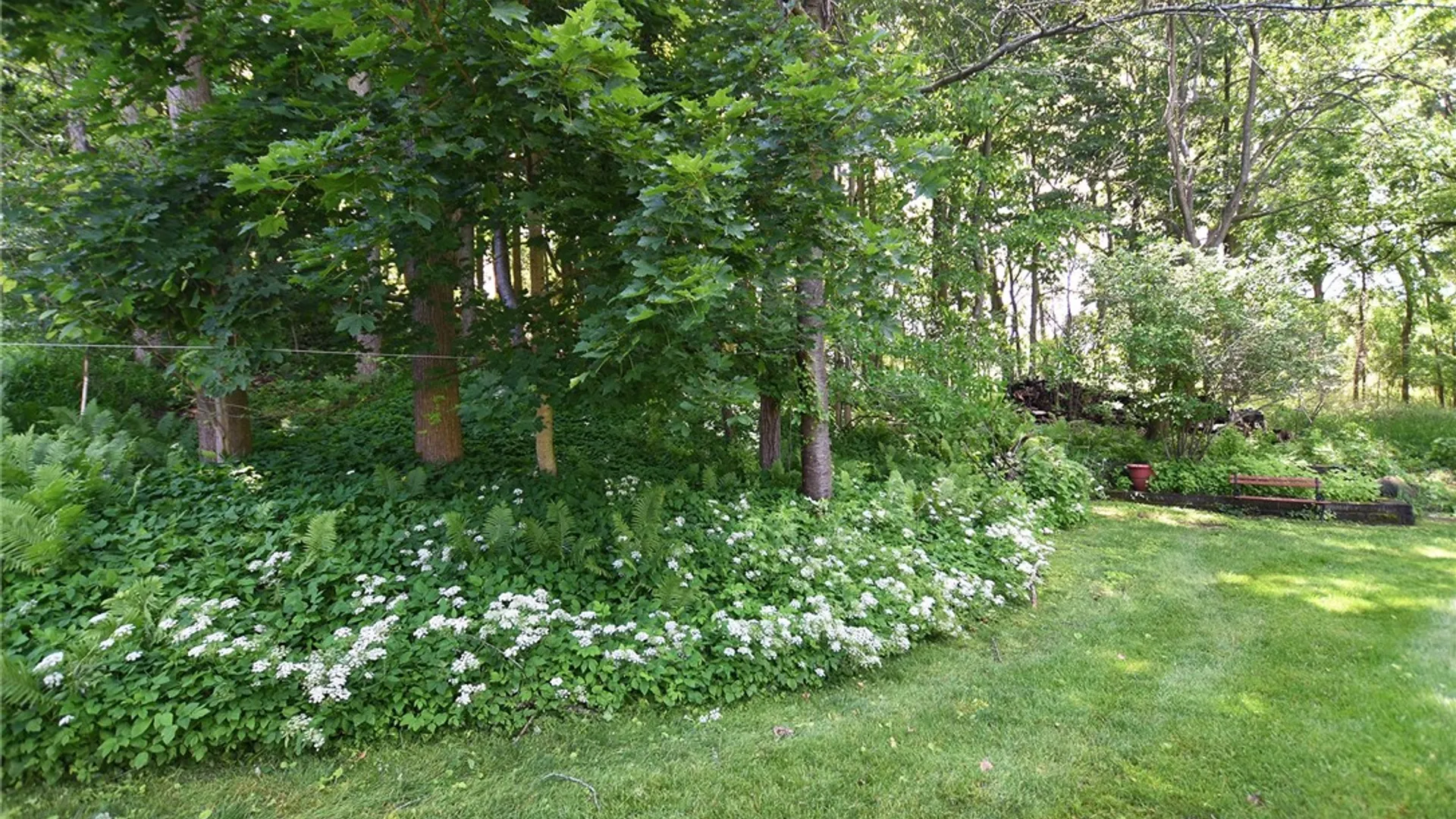 Property at 5 Wandering Trail, Pittsford, NY 14534 46
