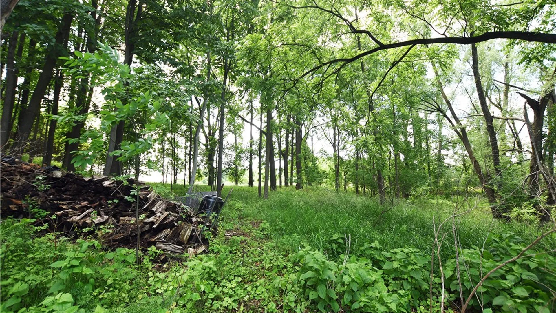 Property at 5 Wandering Trail, Pittsford, NY 14534 48
