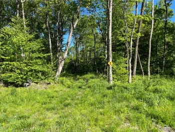 Property at 0 Co Rt 17, Redfield, NY 13437