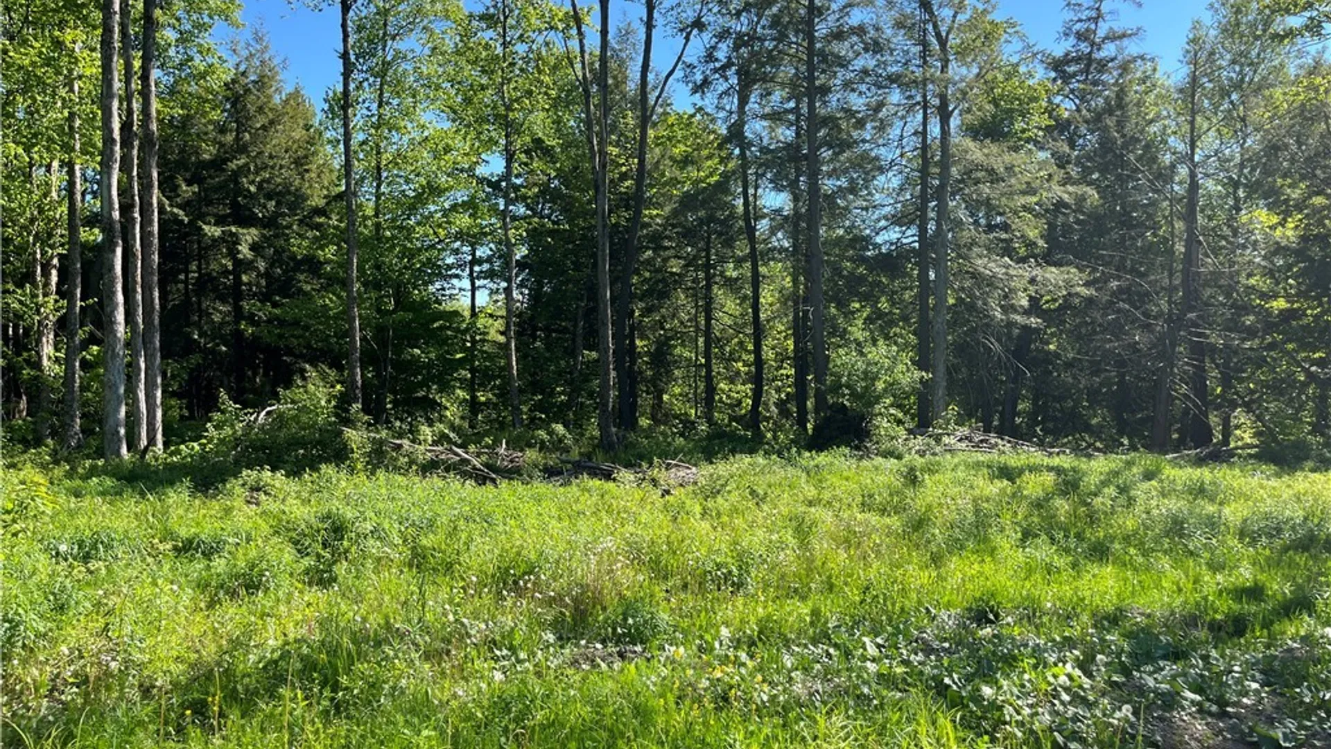 Property at 0 Co Rt 17, Redfield, NY 13437 2