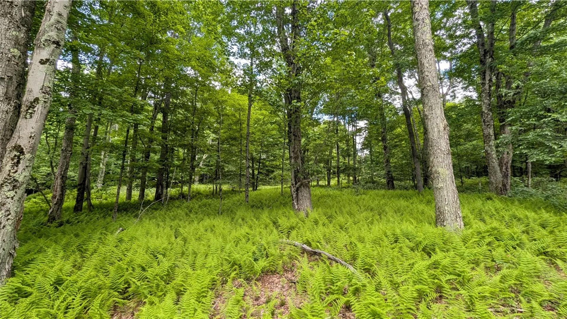 Property at 201 Sunrise Mountain Road, Kortright, NY 13739 49