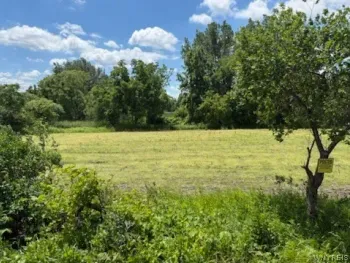 Property at Drake Road, Oakfield, NY 14125