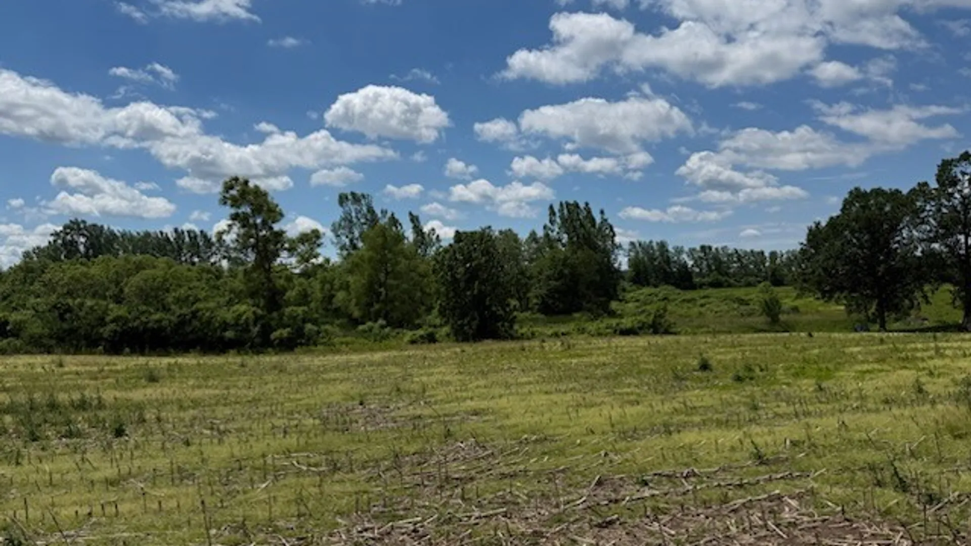 Property at Drake Road, Oakfield, NY 14125 4