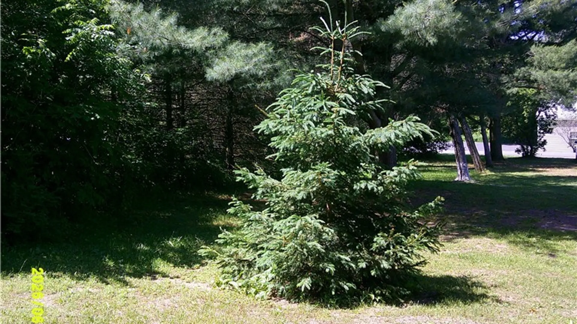 Property at 13530 North Street, Adams, NY 13606 49