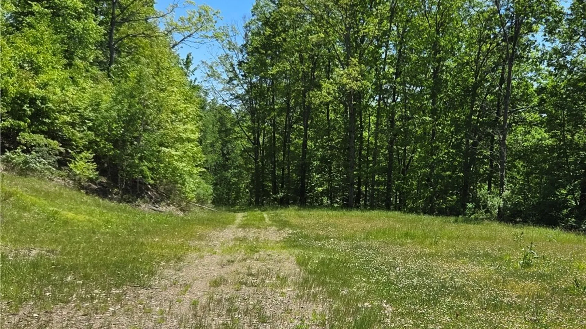 Property at Lillibridge Rd, Olean, NY 14760 10