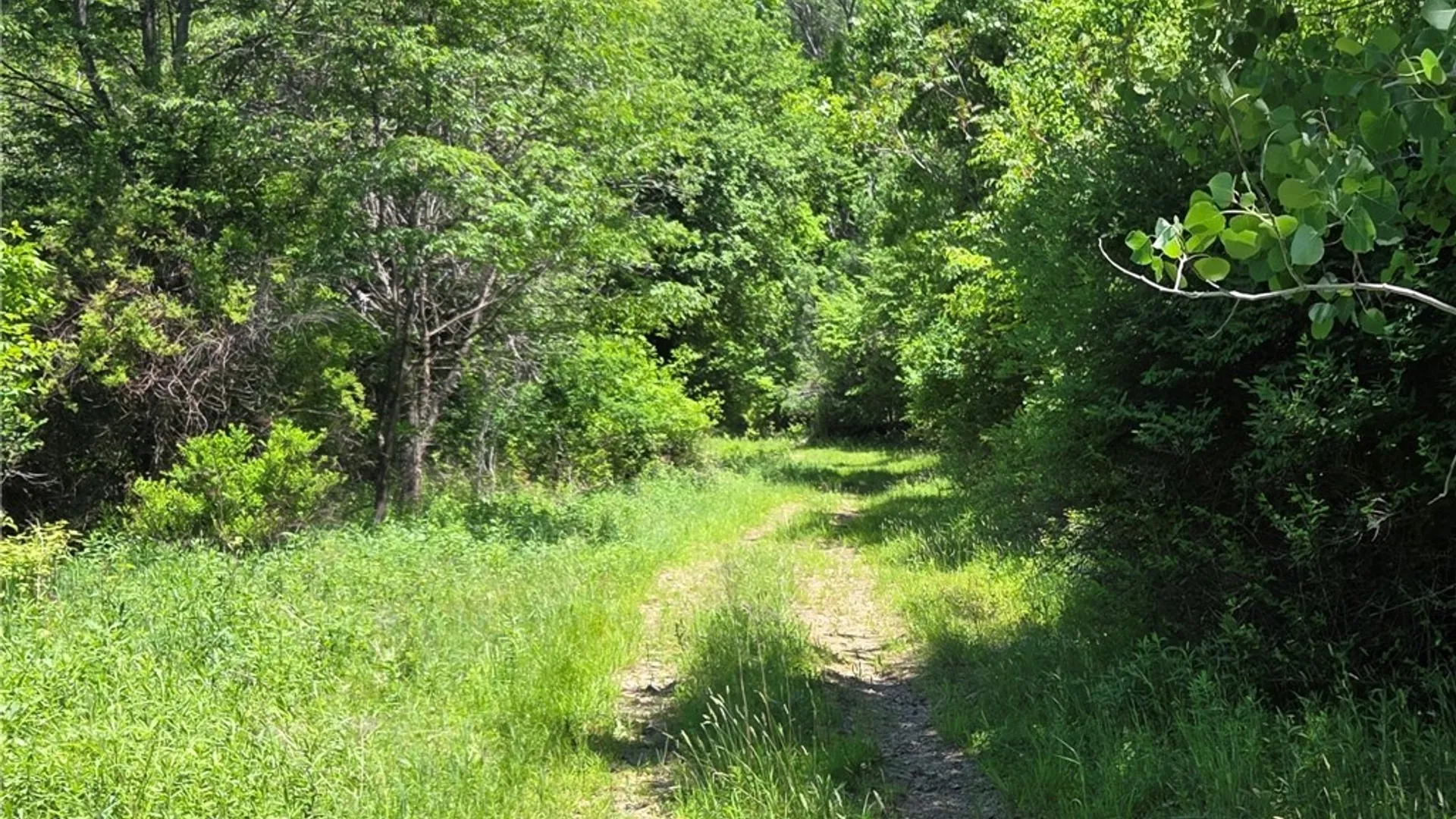 Property at Lillibridge Rd, Olean, NY 14760 11