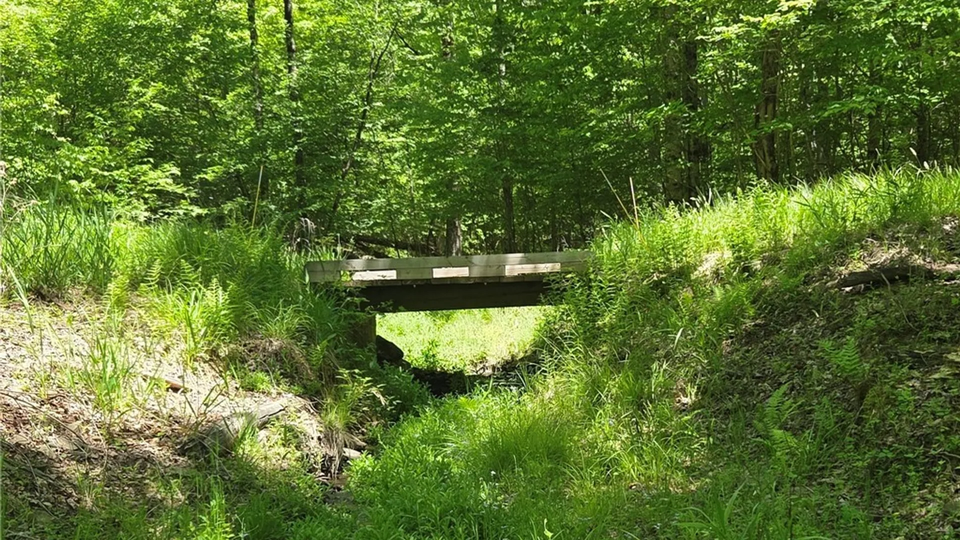 Property at Lillibridge Rd, Olean, NY 14760 12