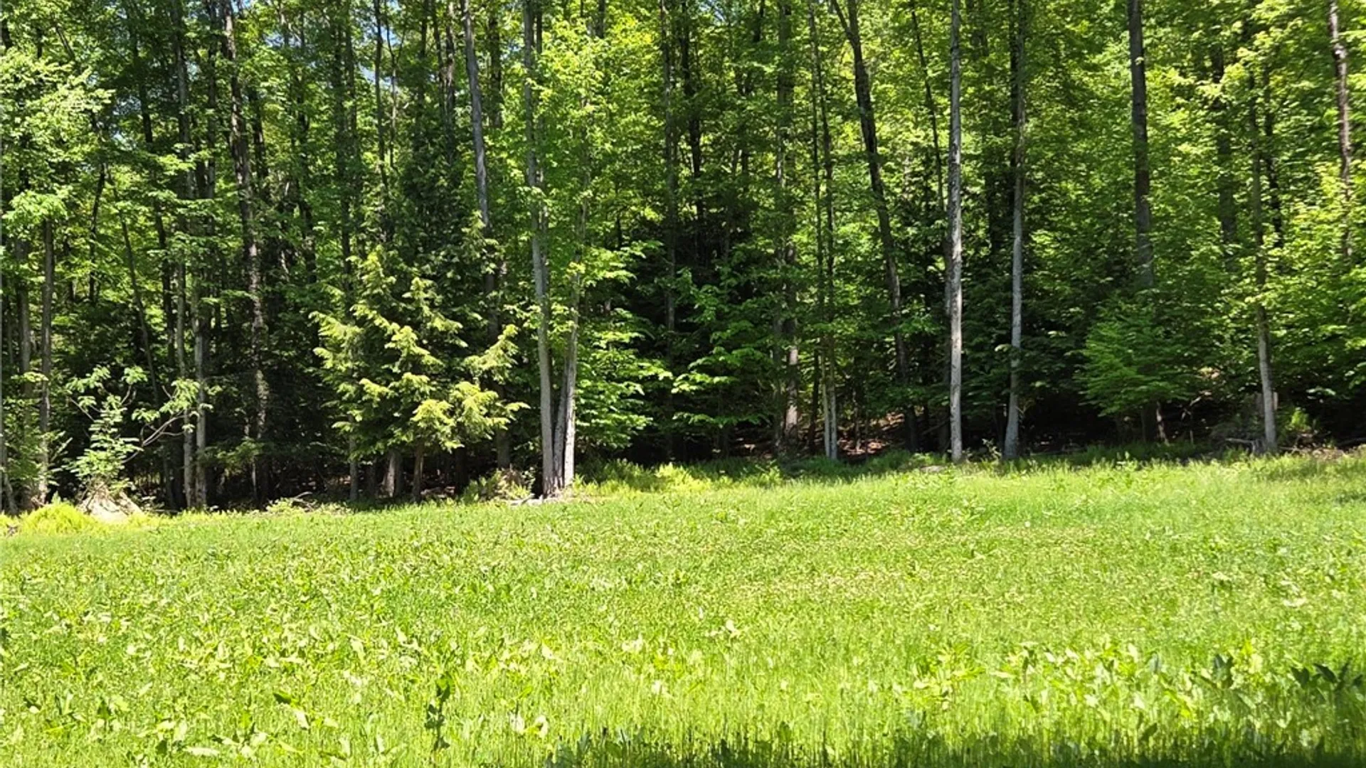 Property at Lillibridge Rd, Olean, NY 14760 14