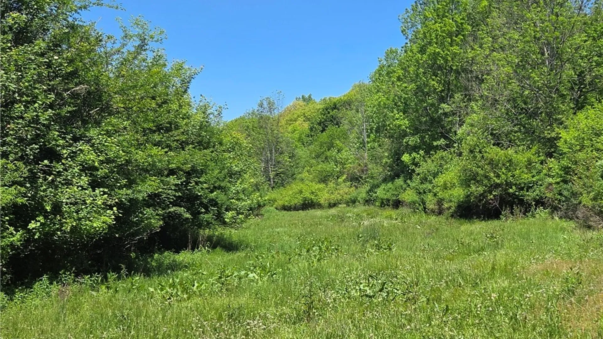 Property at Lillibridge Rd, Olean, NY 14760 15