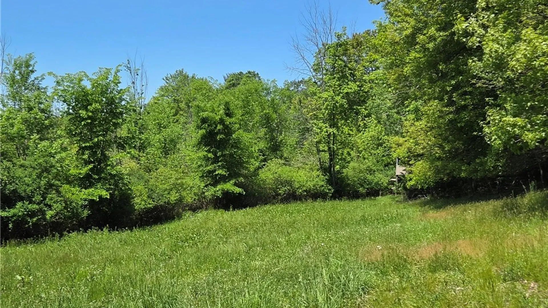 Property at Lillibridge Rd, Olean, NY 14760 16