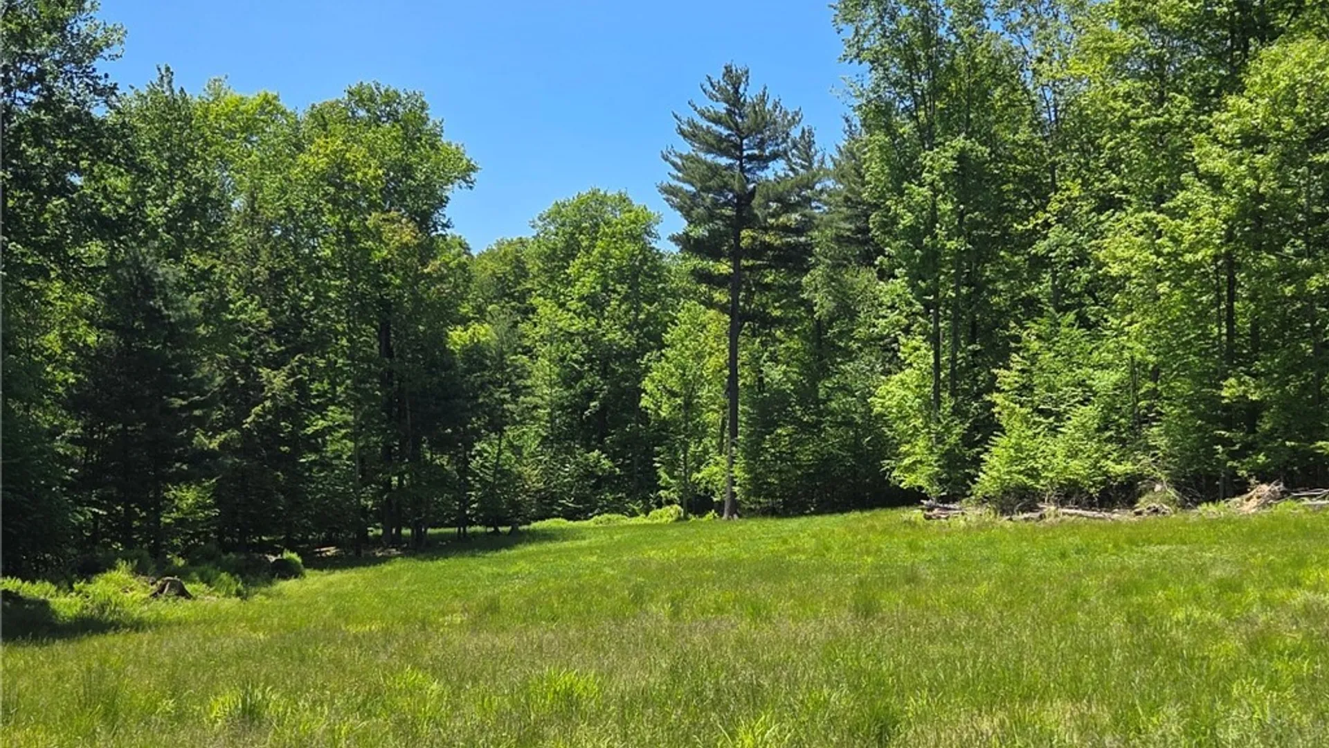 Property at Lillibridge Rd, Olean, NY 14760 19
