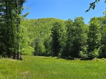 Property at Lillibridge Rd, Olean, NY 14760