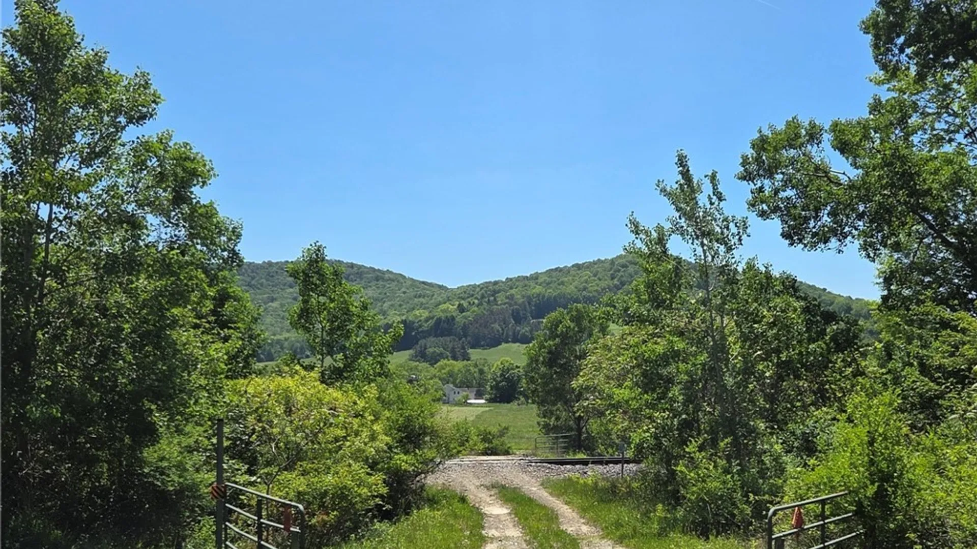 Property at Lillibridge Rd, Olean, NY 14760 2