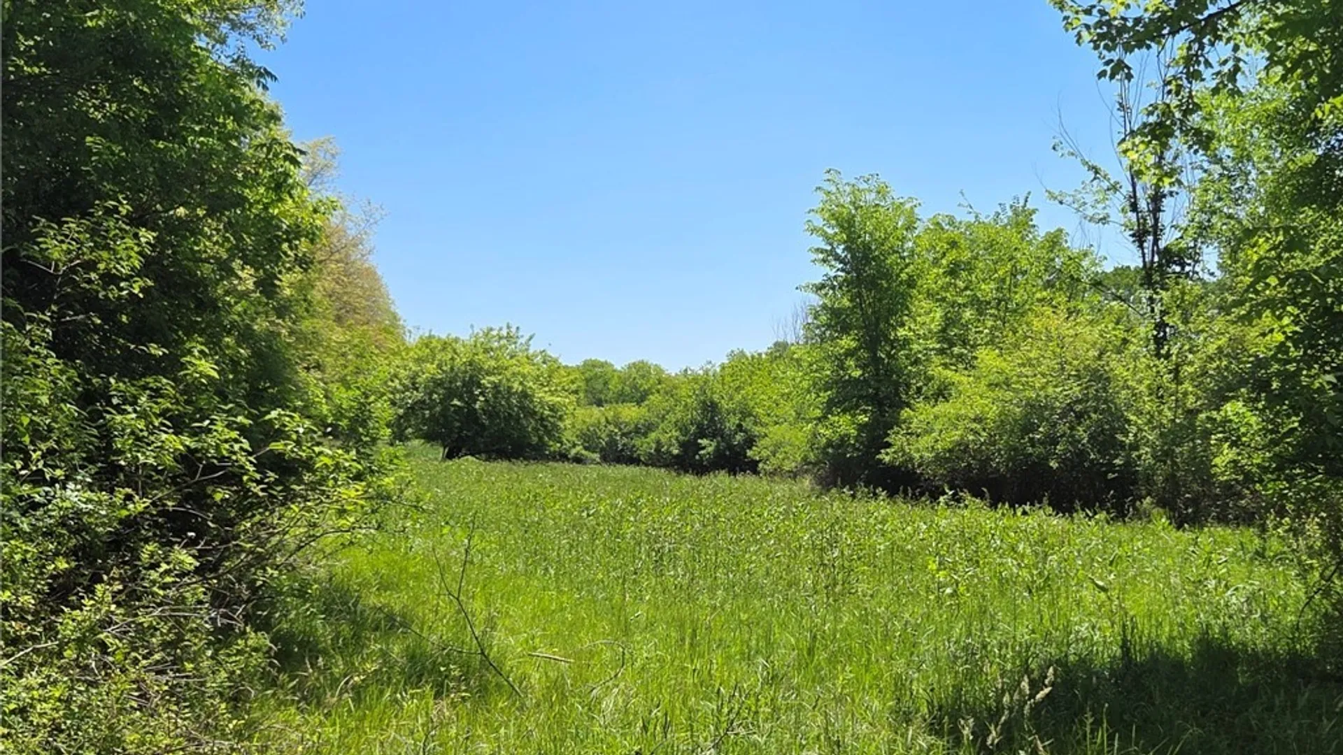 Property at Lillibridge Rd, Olean, NY 14760 20