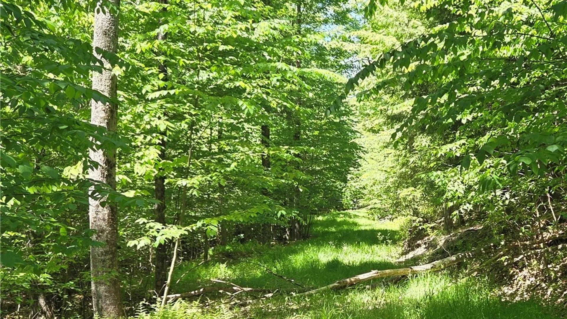 Property at Lillibridge Rd, Olean, NY 14760 22