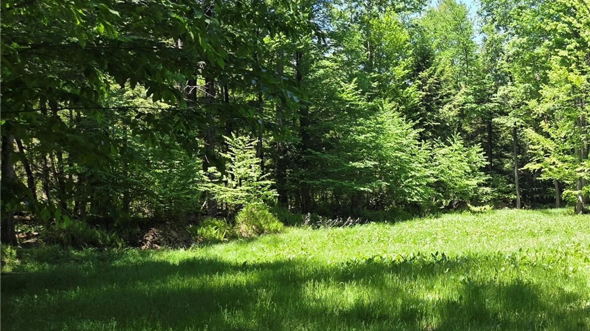 Property at Lillibridge Rd, Olean, NY 14760 26