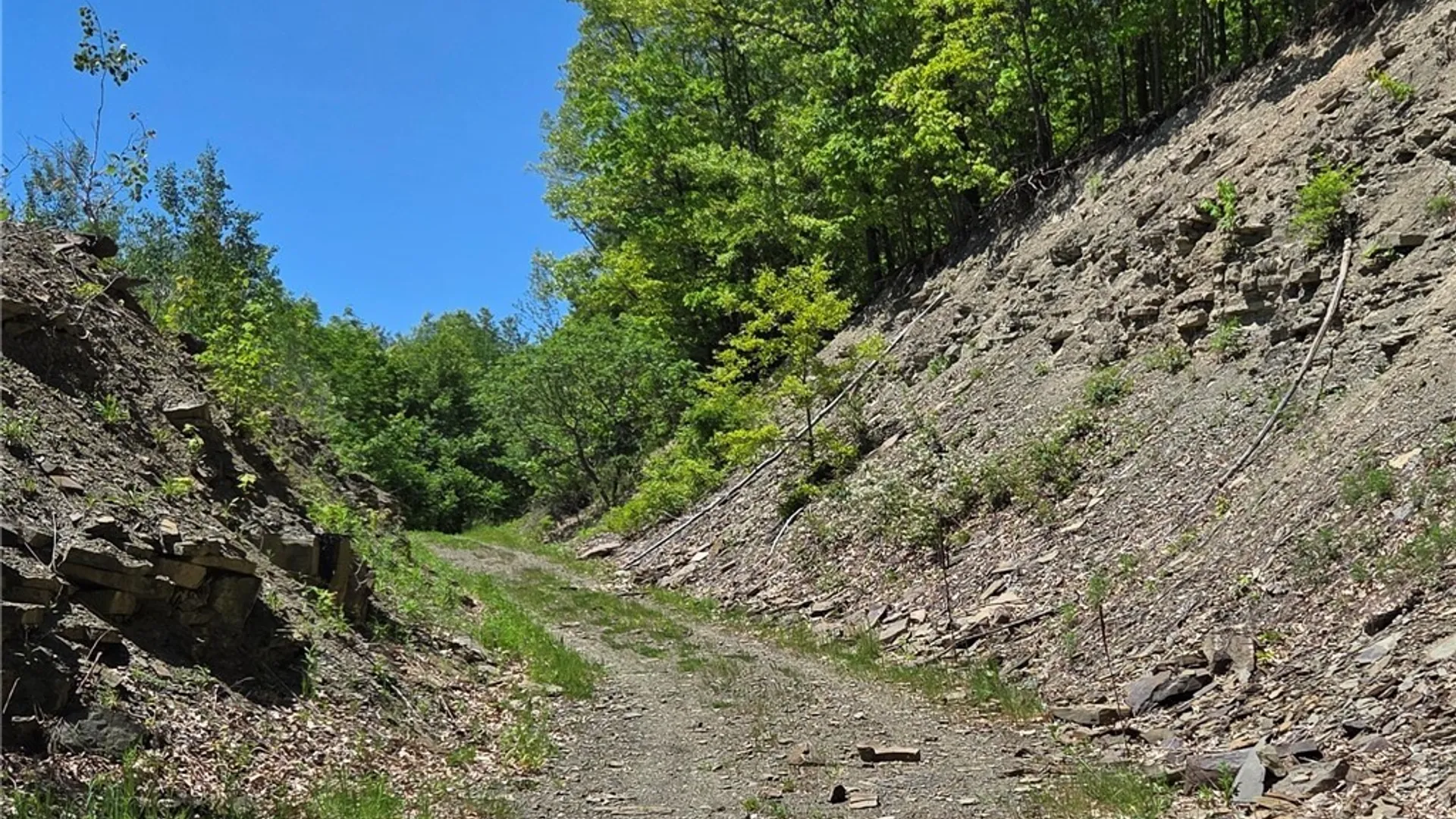 Property at Lillibridge Rd, Olean, NY 14760 27
