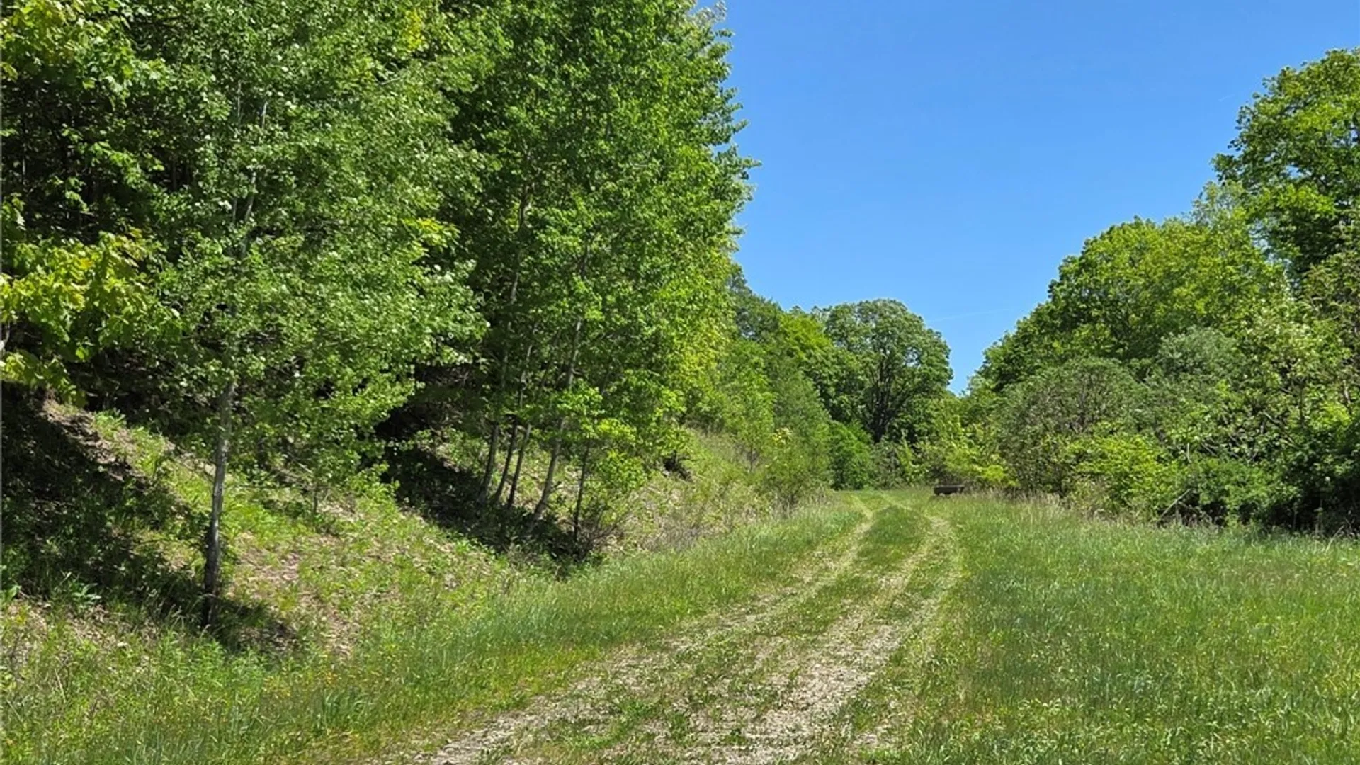 Property at Lillibridge Rd, Olean, NY 14760 28
