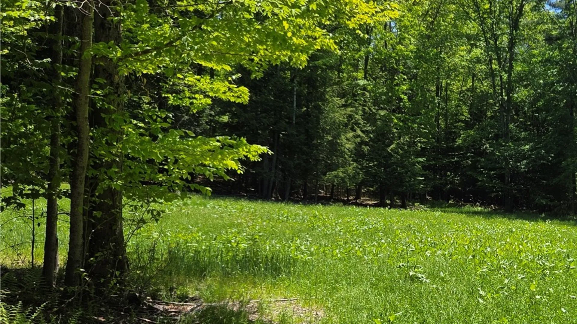 Property at Lillibridge Rd, Olean, NY 14760 30