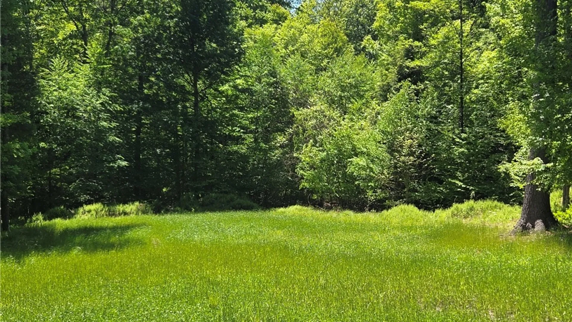 Property at Lillibridge Rd, Olean, NY 14760 31