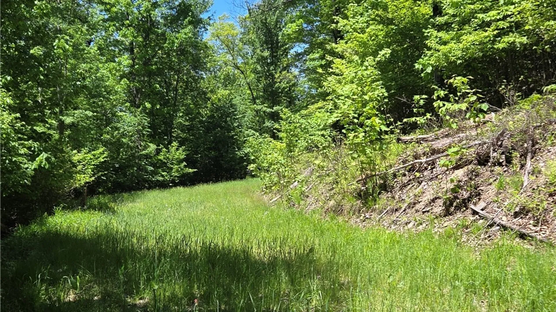 Property at Lillibridge Rd, Olean, NY 14760 38