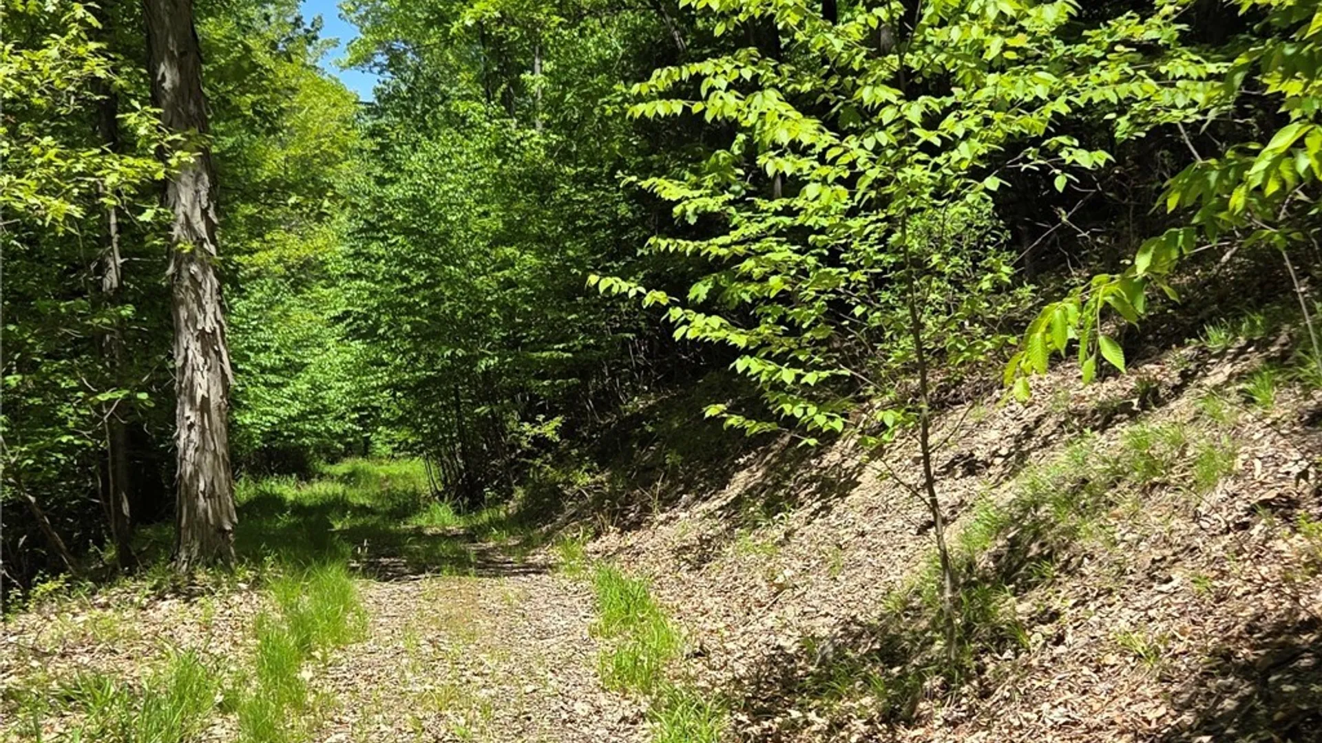 Property at Lillibridge Rd, Olean, NY 14760 39