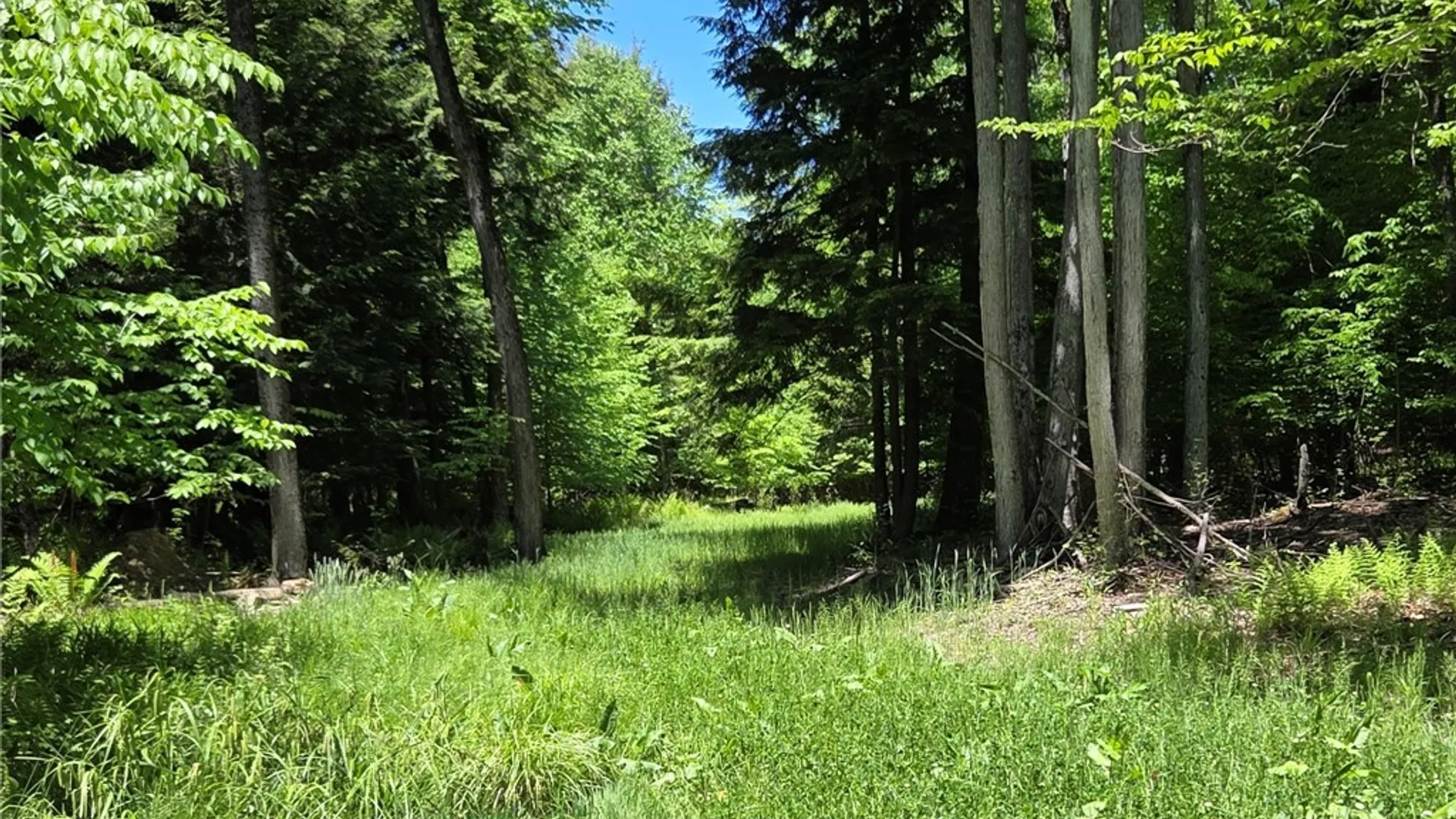 Property at Lillibridge Rd, Olean, NY 14760 42