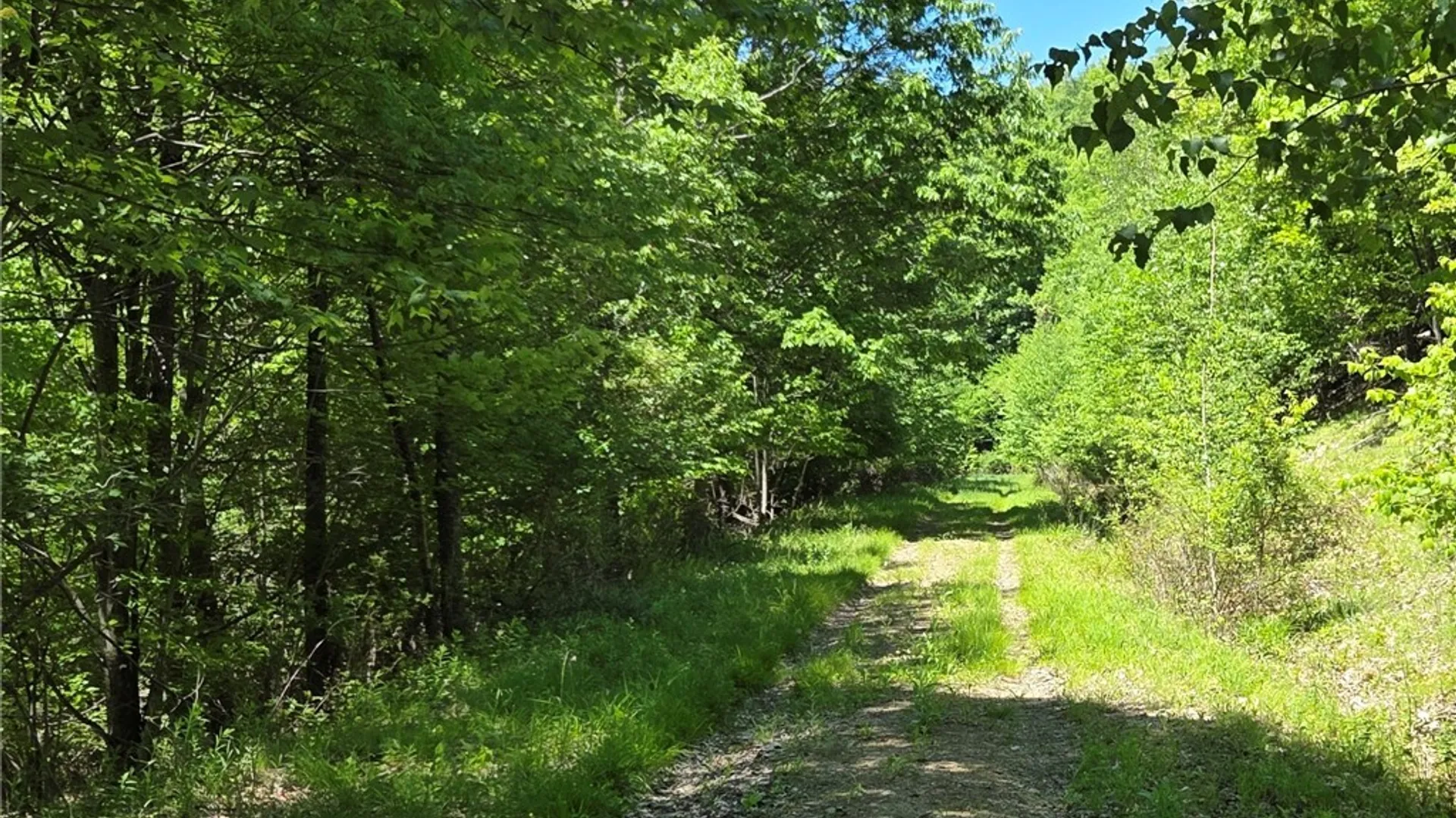 Property at Lillibridge Rd, Olean, NY 14760 45
