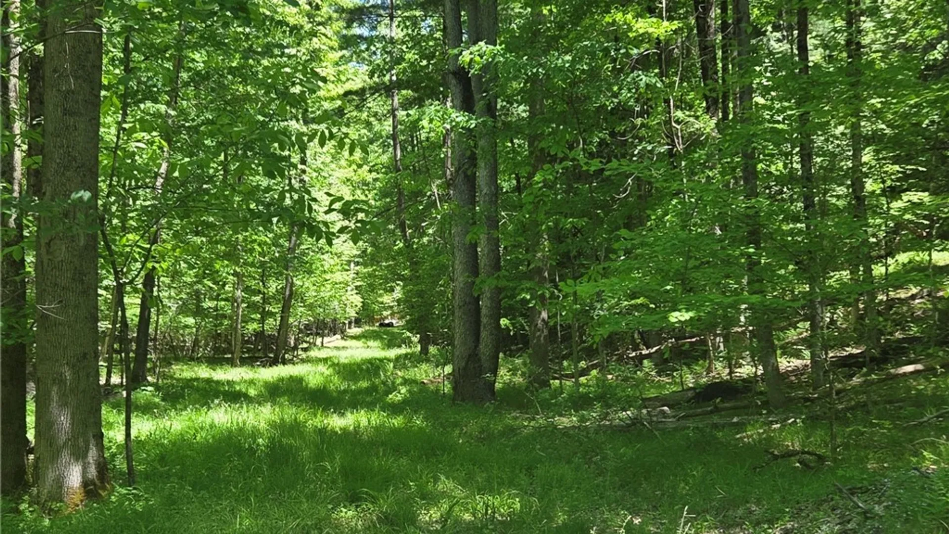 Property at Lillibridge Rd, Olean, NY 14760 46