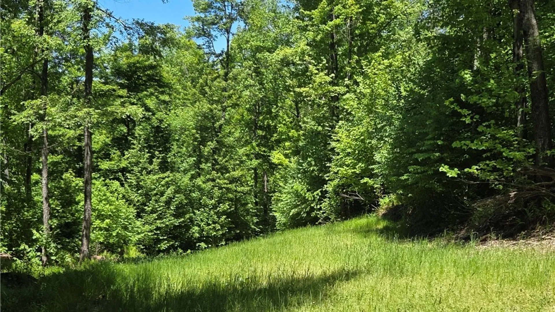 Property at Lillibridge Rd, Olean, NY 14760 47