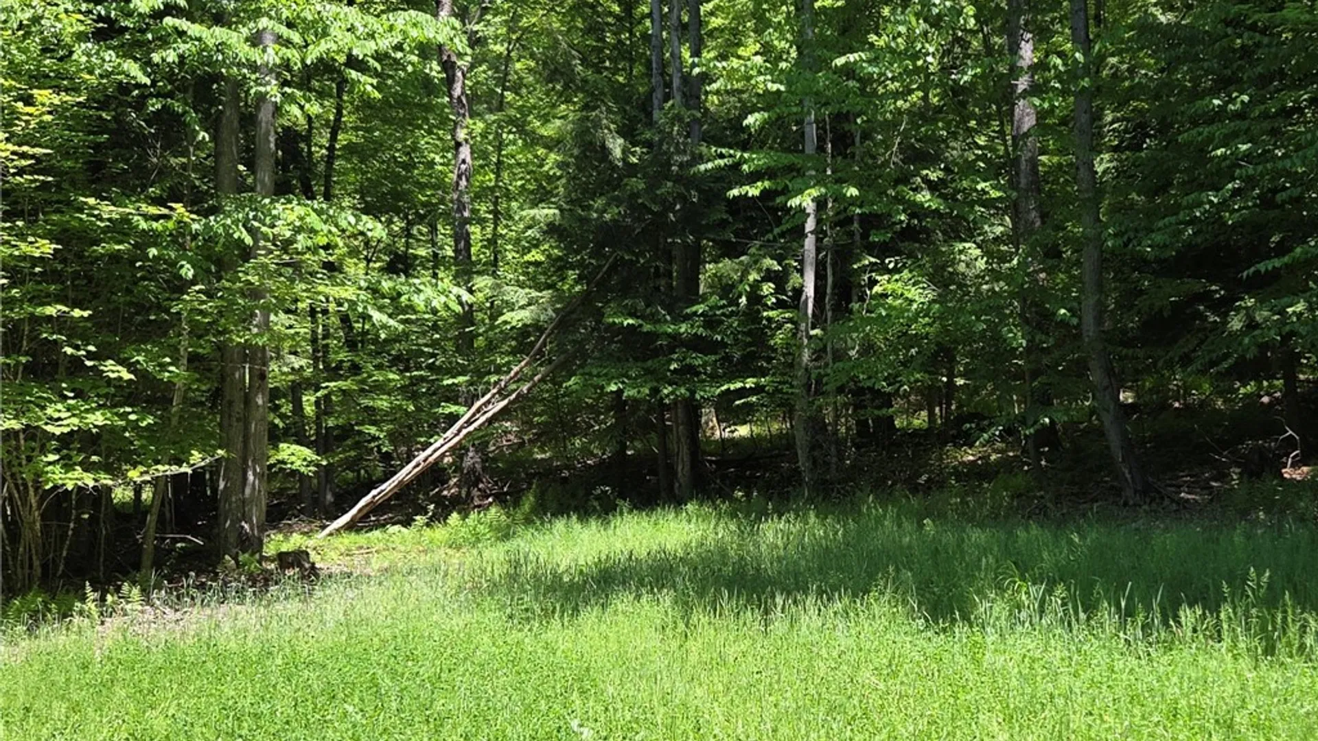 Property at Lillibridge Rd, Olean, NY 14760 48