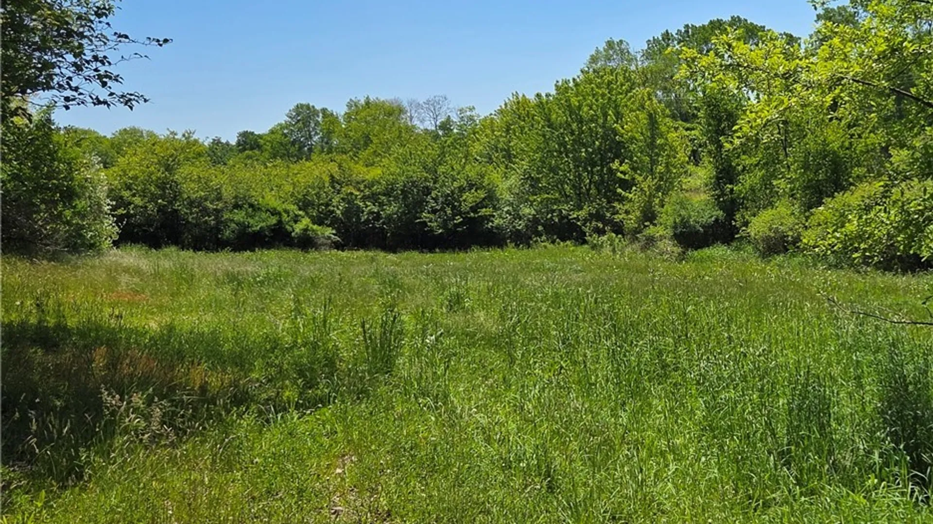 Property at Lillibridge Rd, Olean, NY 14760 5
