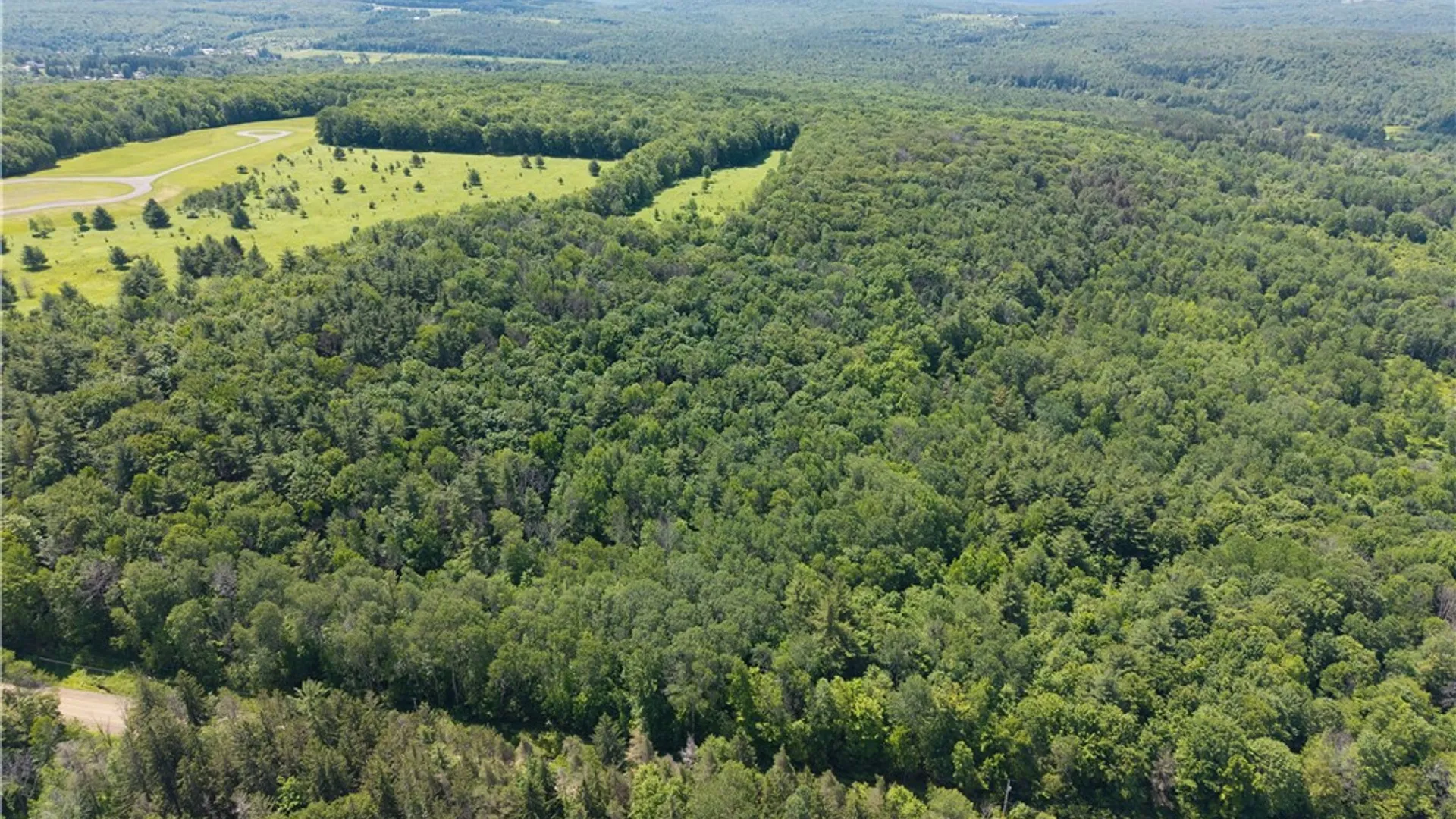 Property at 0 Schneider Road, Granger, NY 14735 50