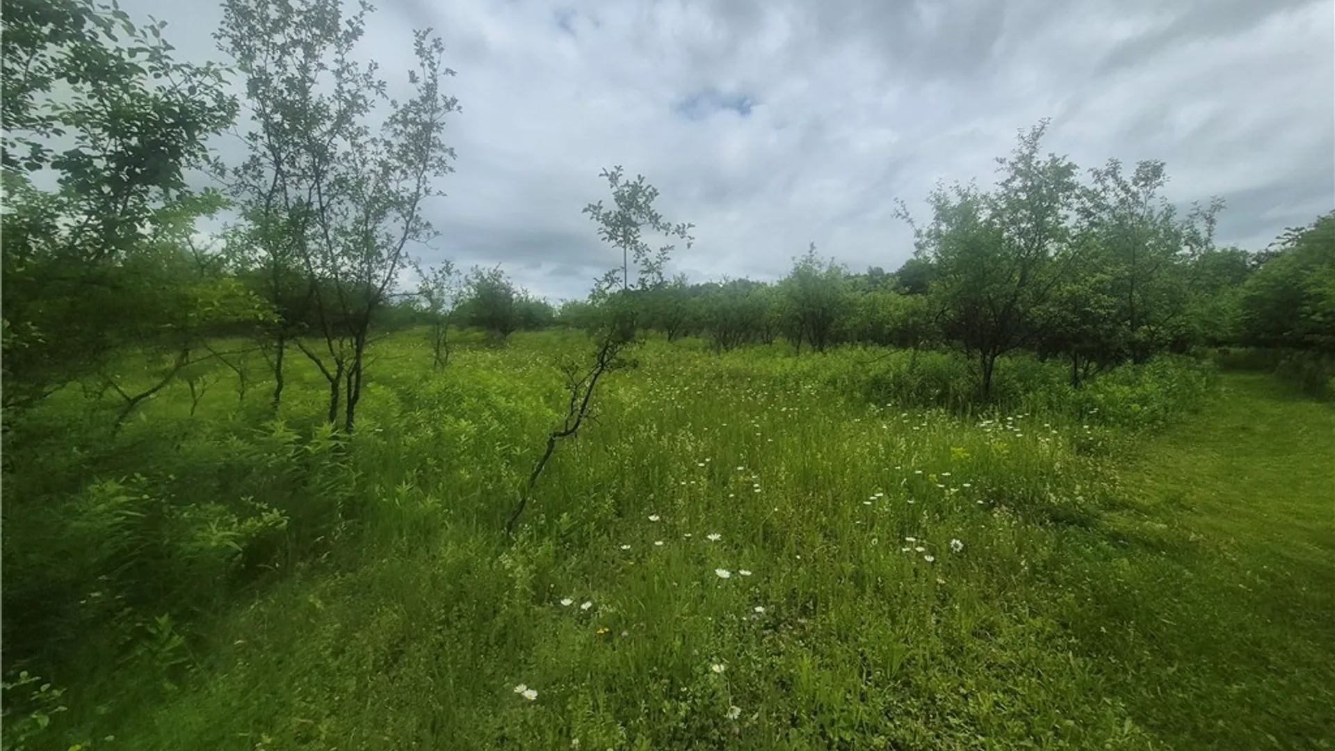 Property at 22772 Swan Road, Watertown Town, NY 13601 21