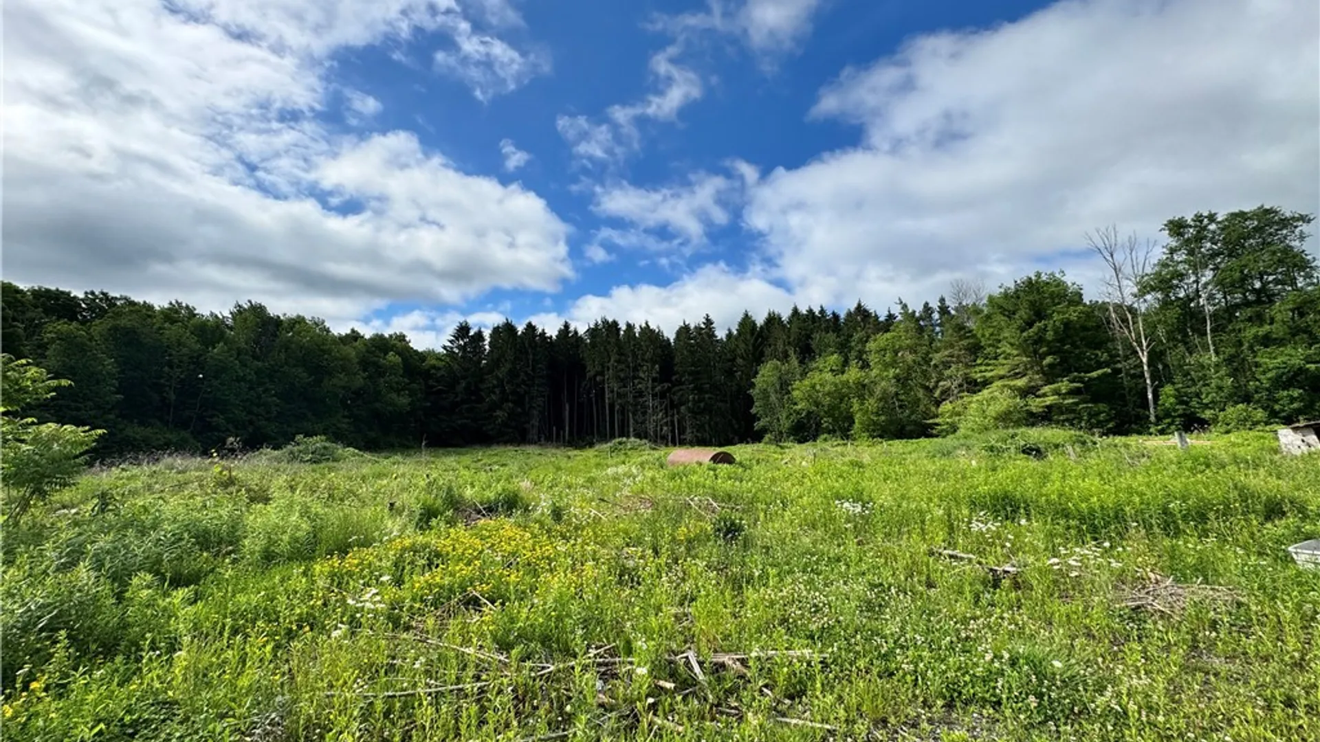 Property at 4142 State Route 20, Nelson, NY 13408 16