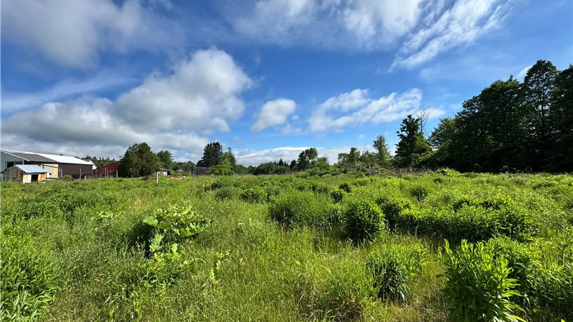 Property at 4142 State Route 20, Nelson, NY 13408 17