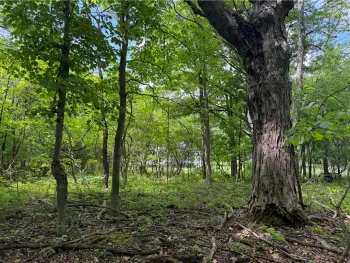 Property at VL Reed Road, West Sparta, NY 14437
