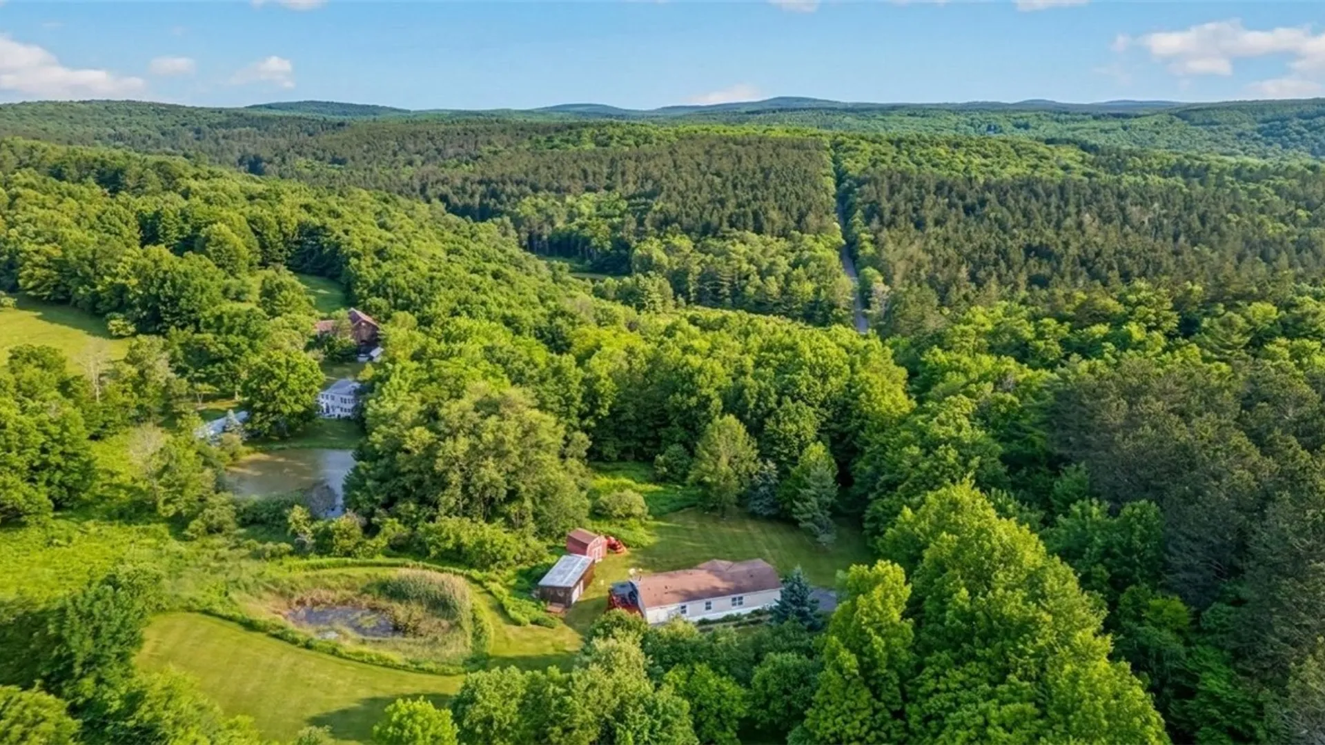 Property at 171 Rossman Hill Road, Summit, NY 12175 3