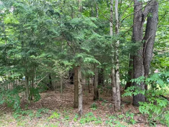 Property at Pine Cone Lane, Watson, NY 13343