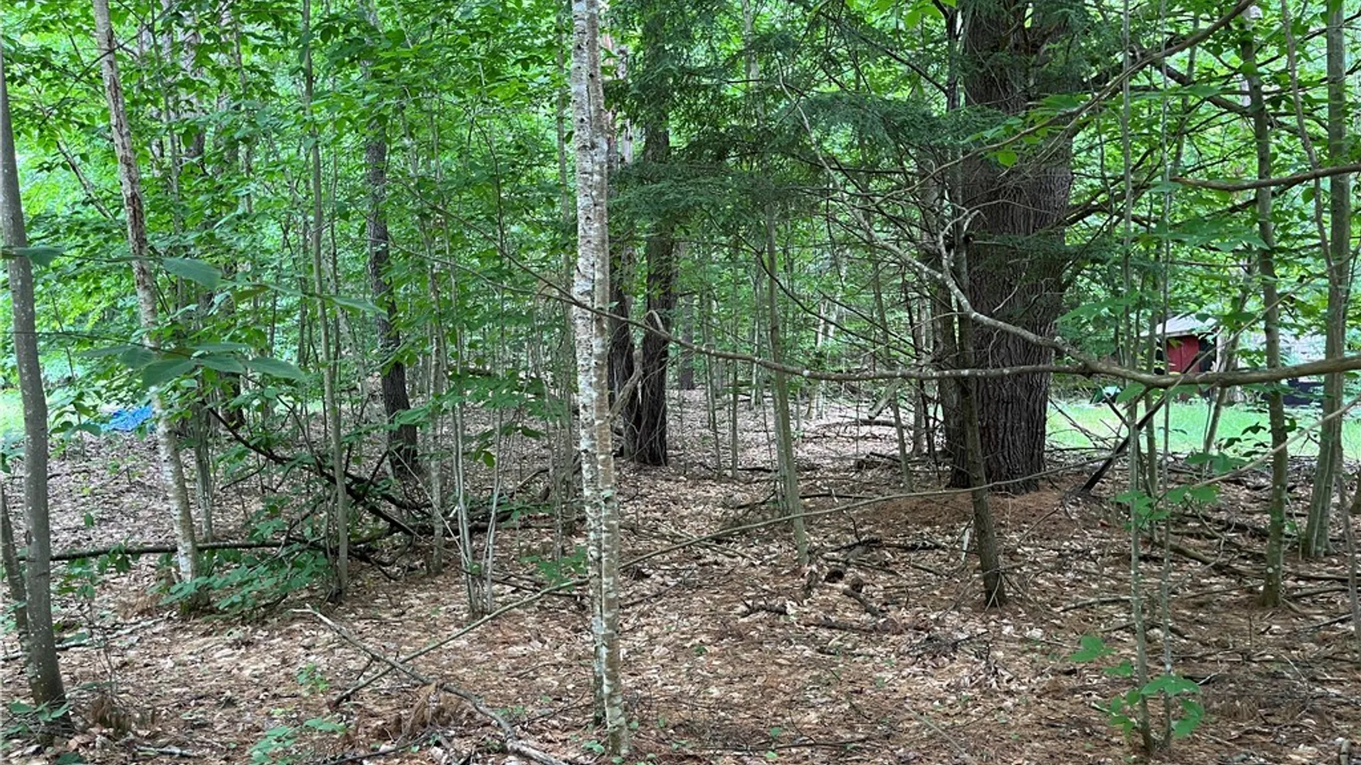 Property at Pine Cone Lane, Watson, NY 13343 2