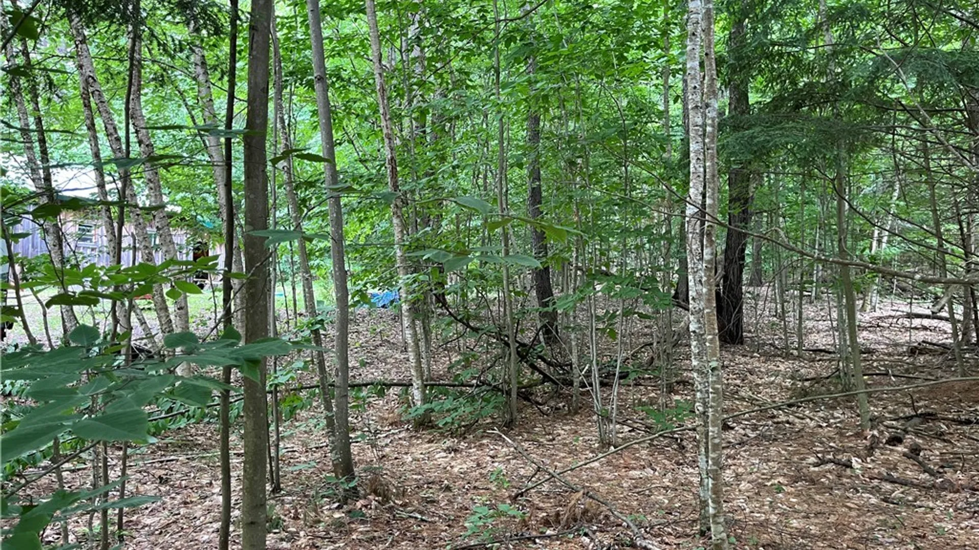 Property at Pine Cone Lane, Watson, NY 13343 3