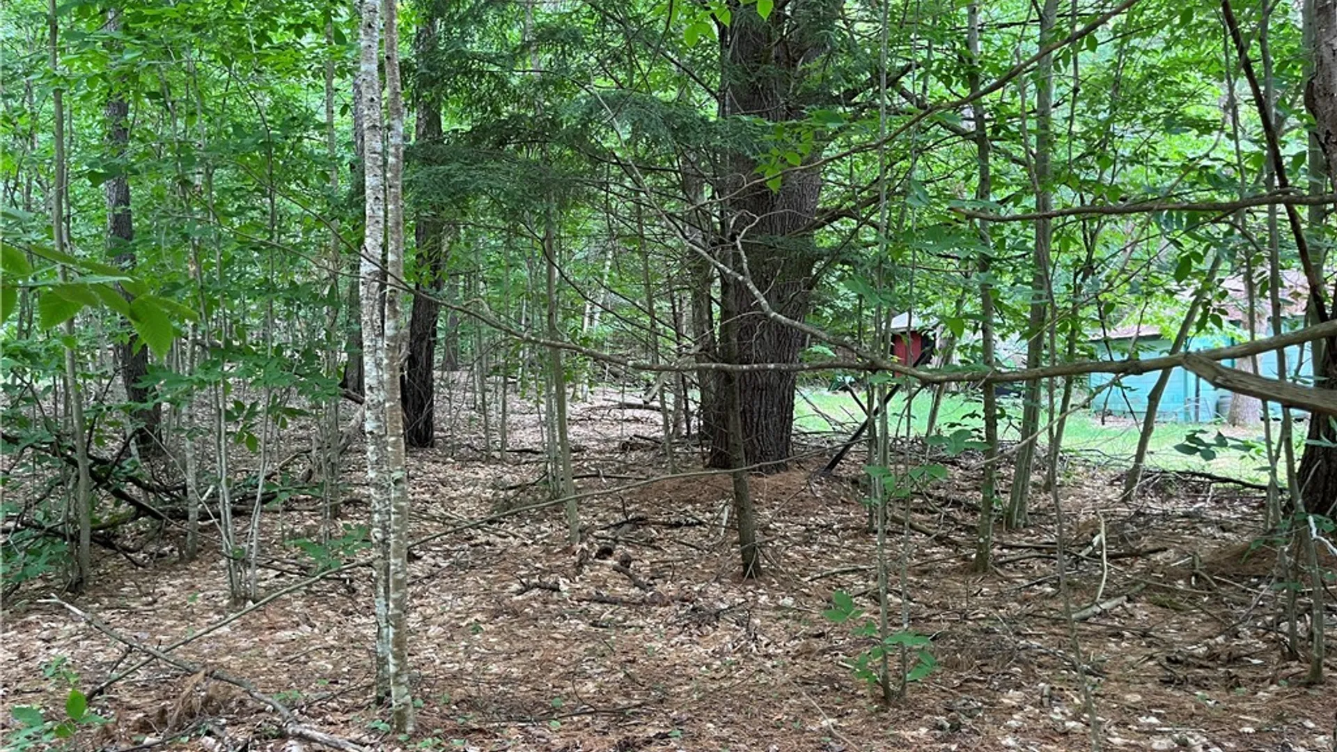 Property at Pine Cone Lane, Watson, NY 13343 4