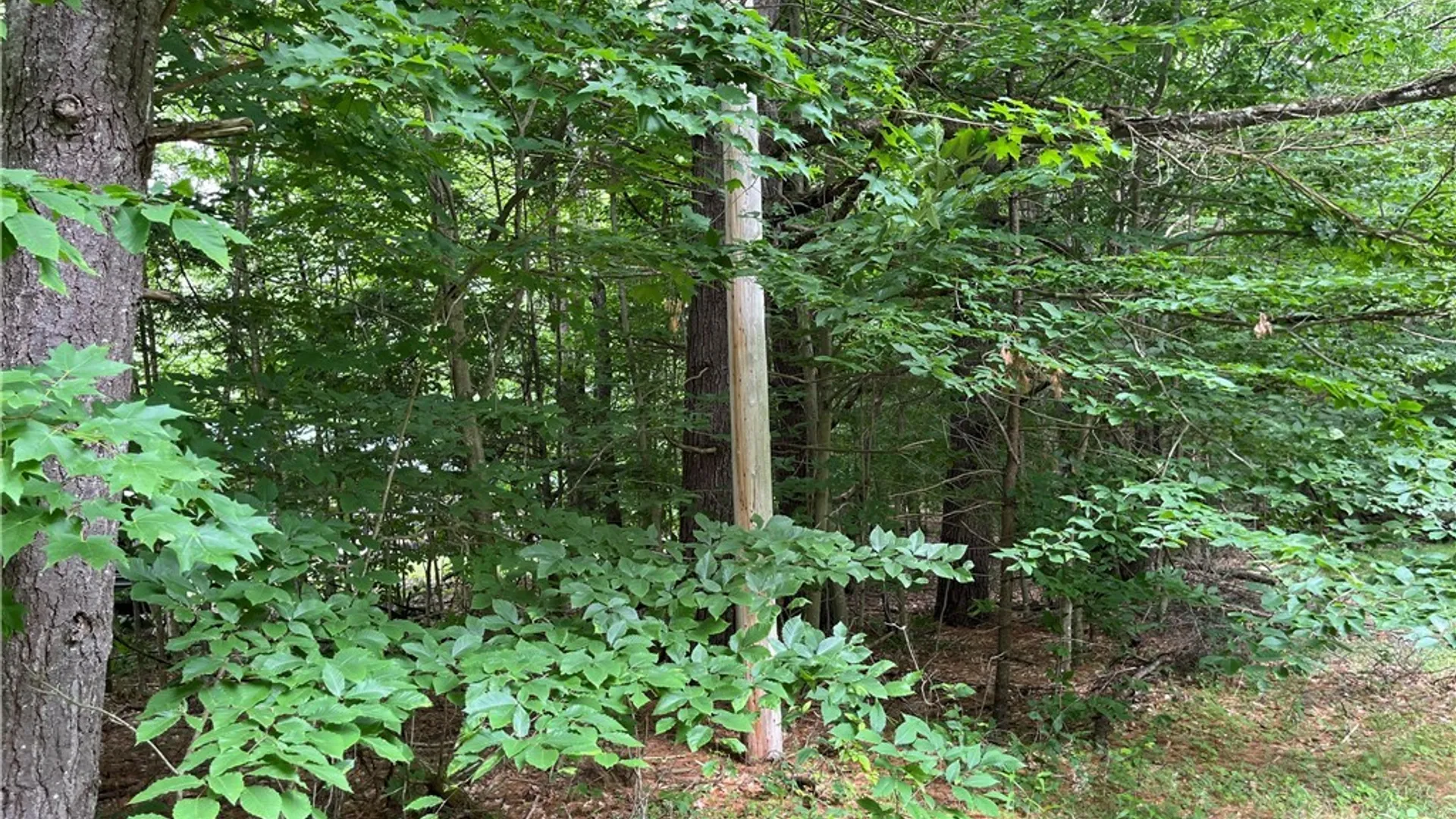 Property at Pine Cone Lane, Watson, NY 13343 5