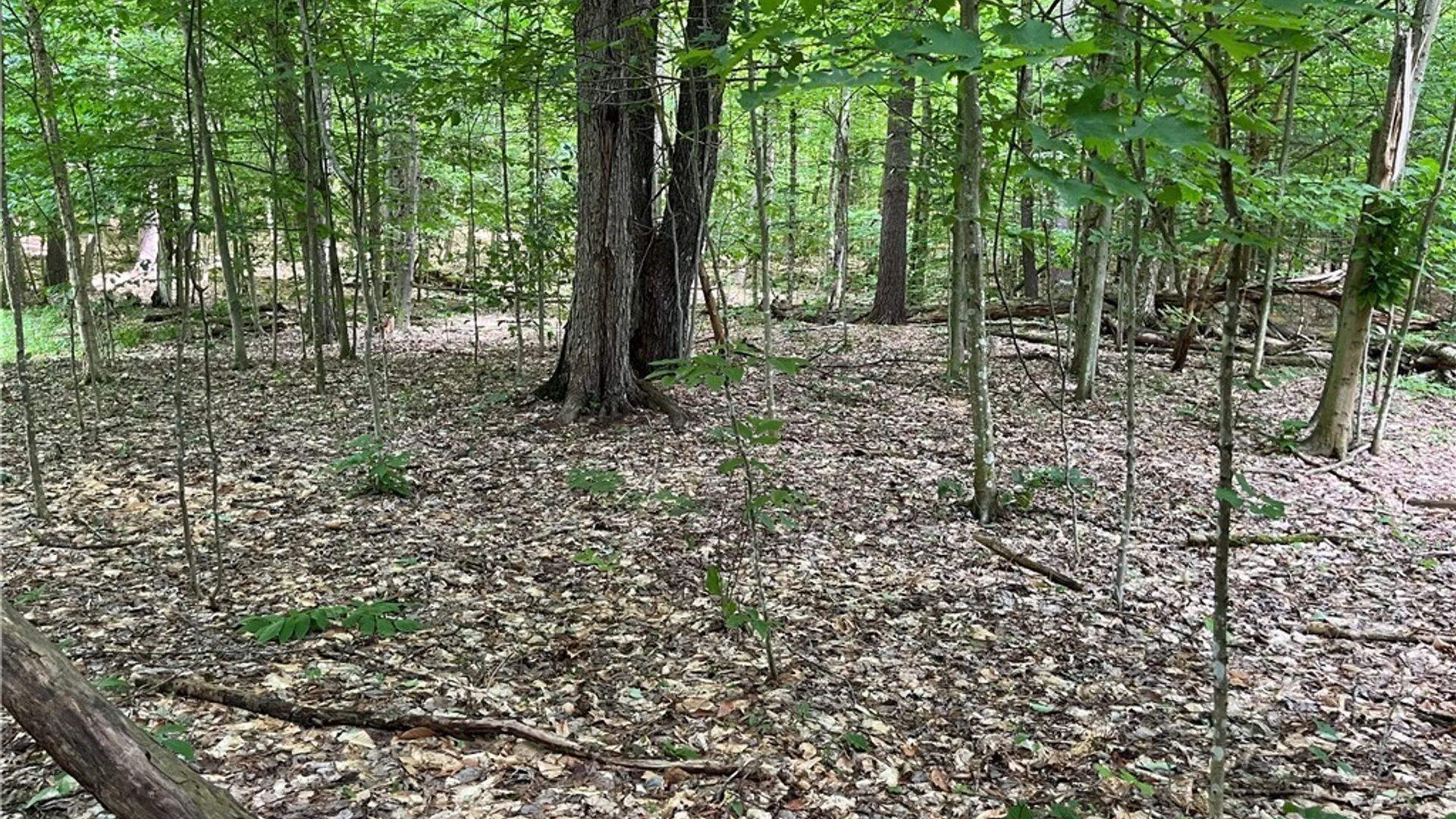 Property at Pine Cone Lane, Watson, NY 13343 8